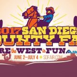 Asian Festival Day at the San Diego County Fair